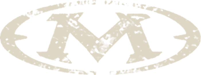 Momentum